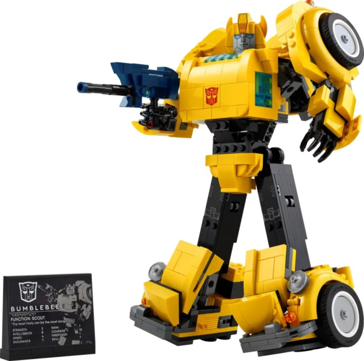 Bumblebee set photo
