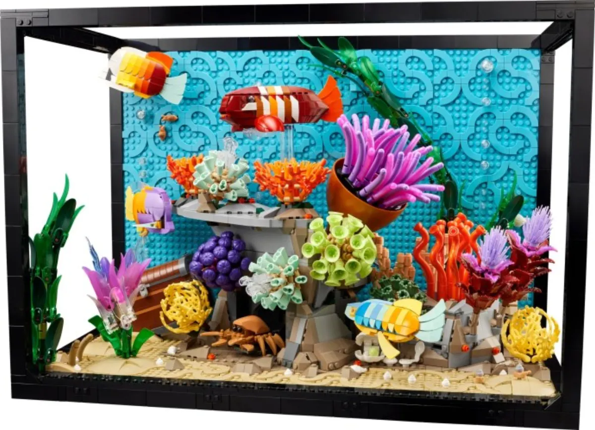 Tropical Aquarium set photo