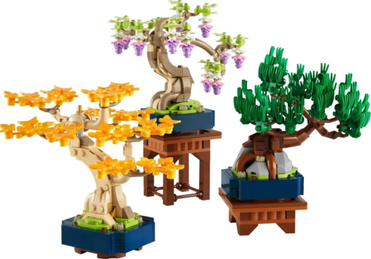 Mini Bonsai Trees set photo