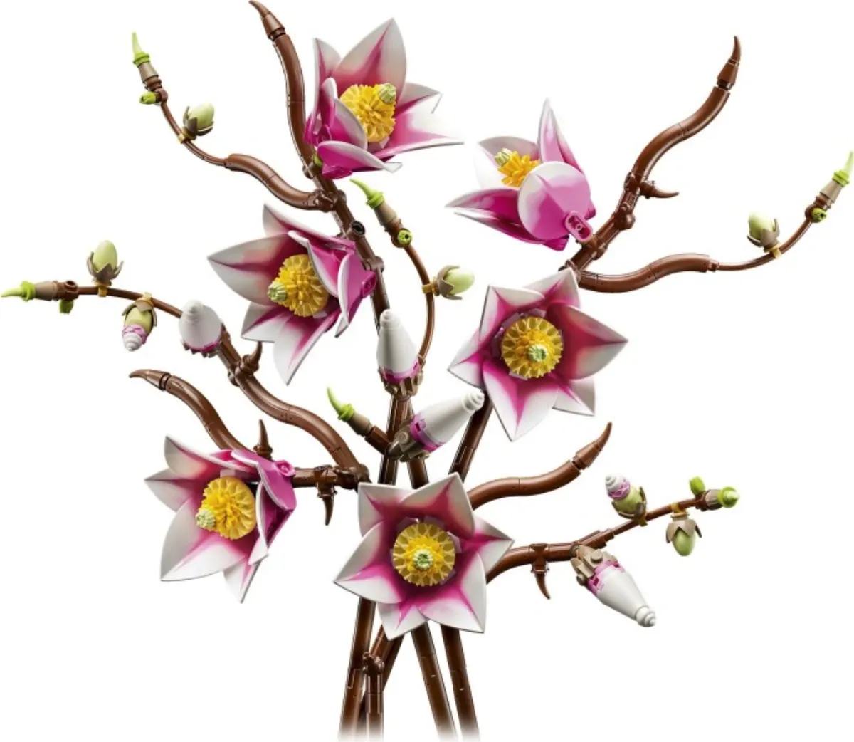 Magnolia Branches set photo