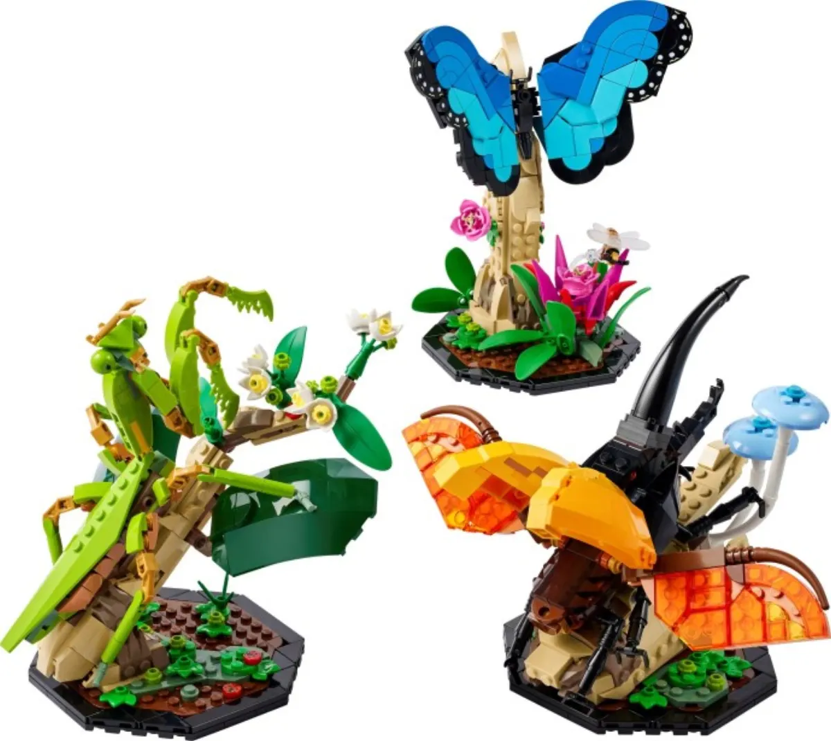 The Insect Collection set photo