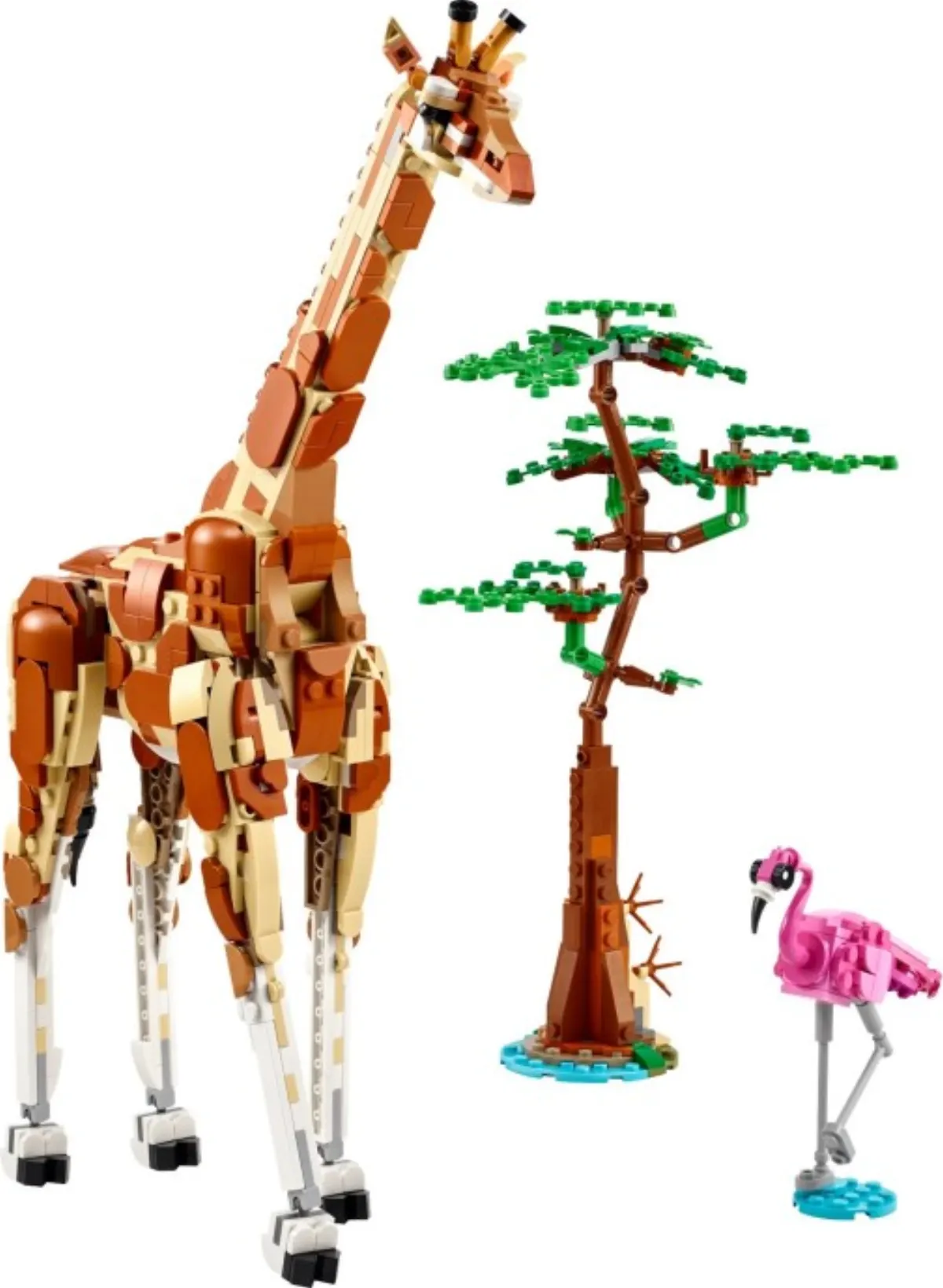 Wild Safari Animals set photo