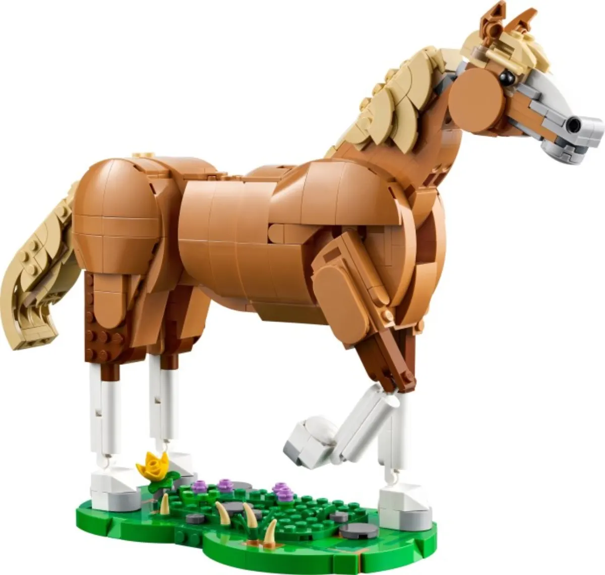 Beautiful Horse set photo