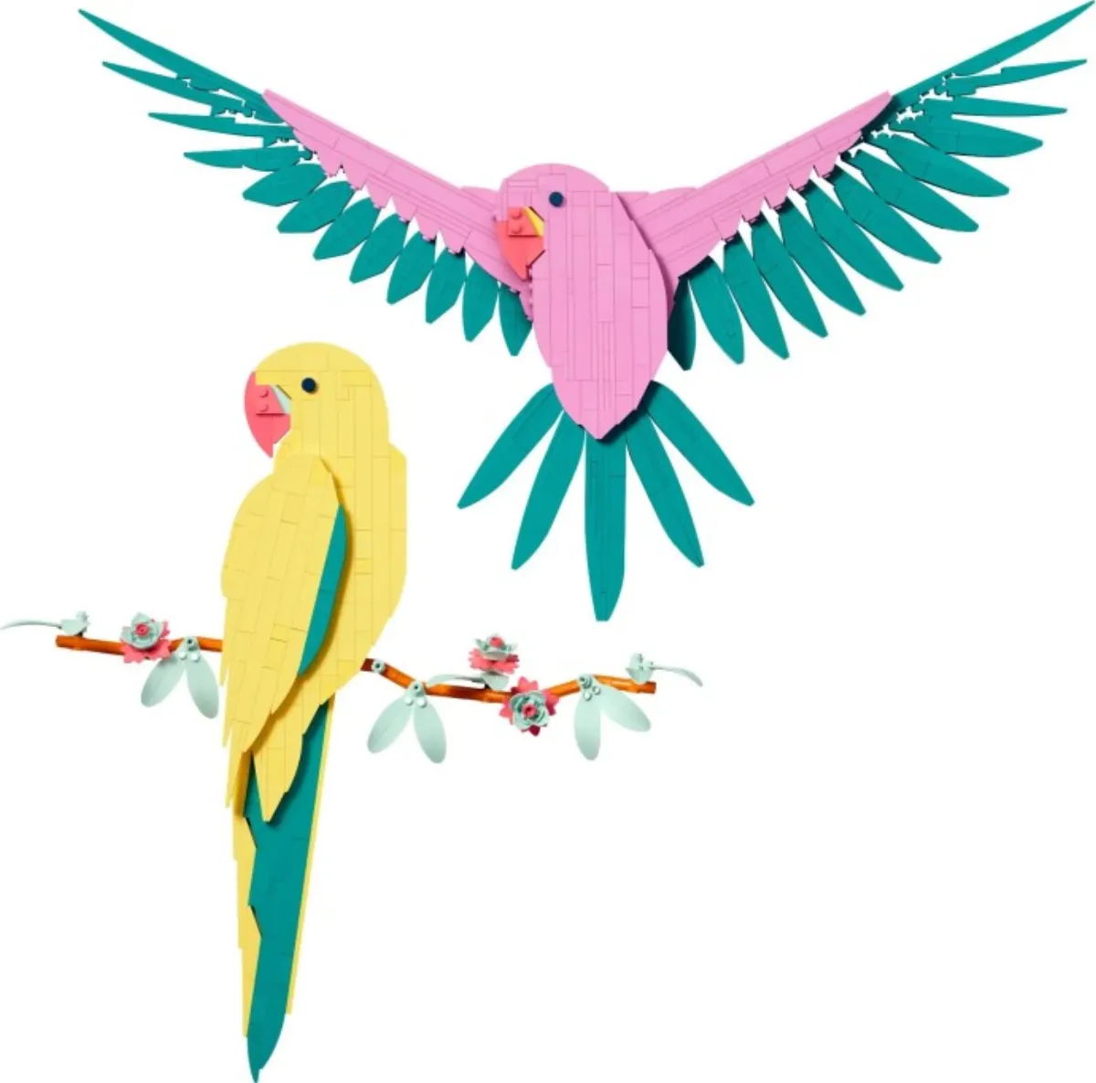 Macaw Parrots set photo