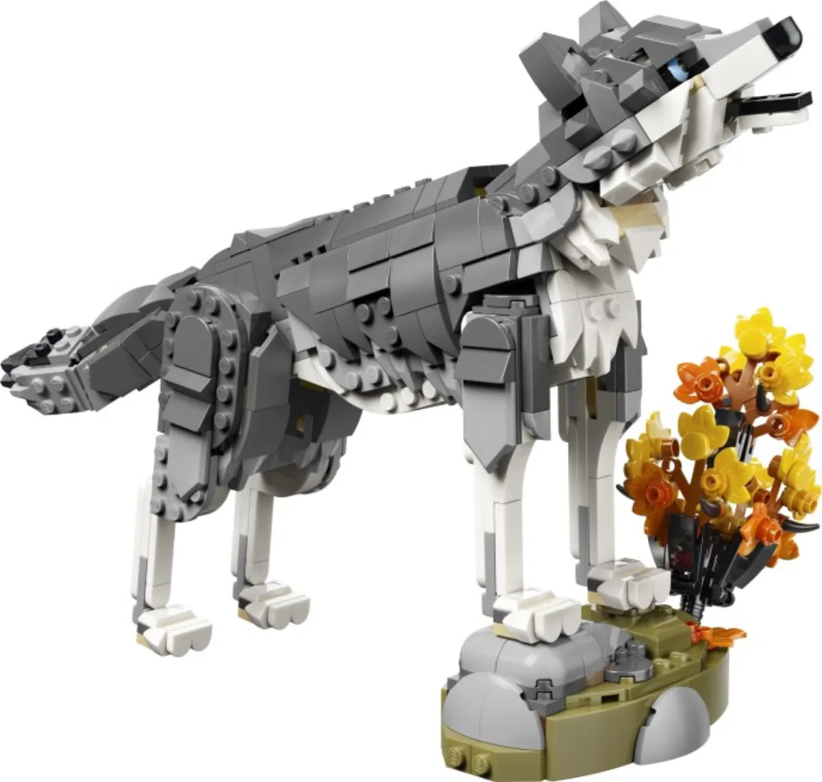Forest Animals: Gray Wolf set photo