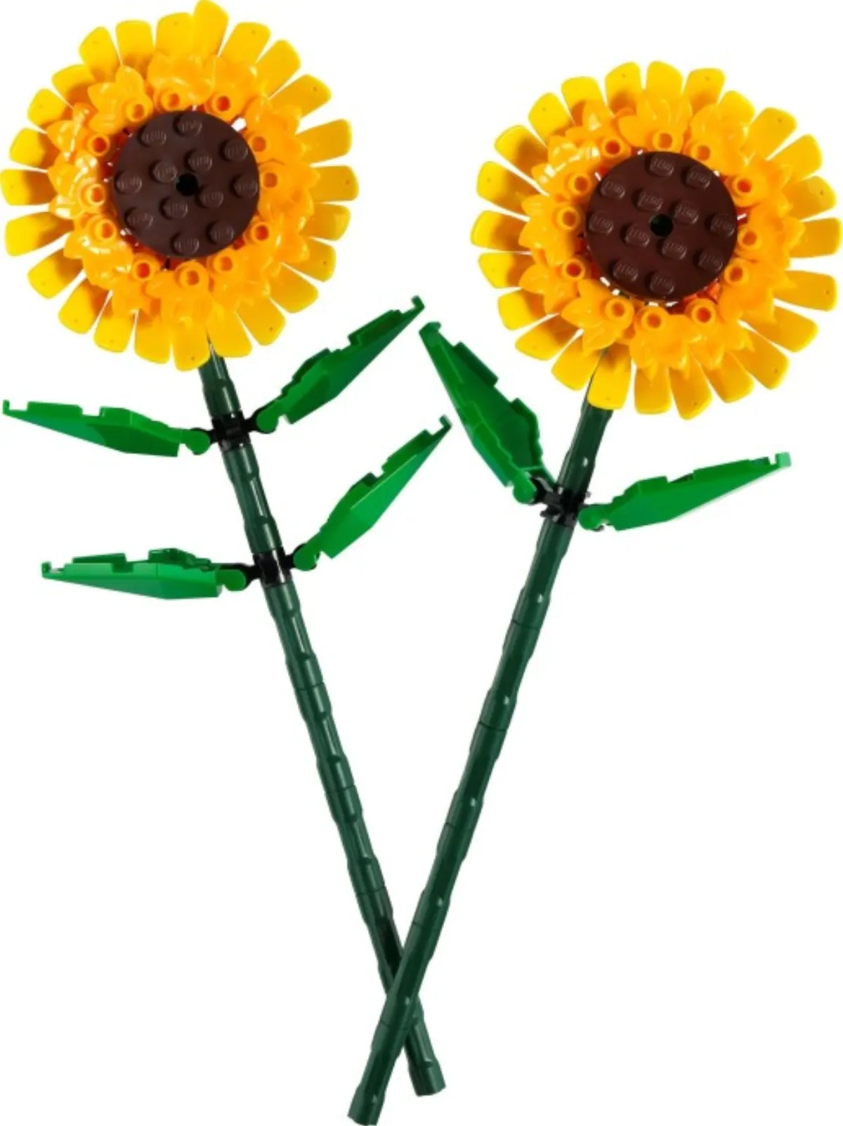 Sunflowers set photo
