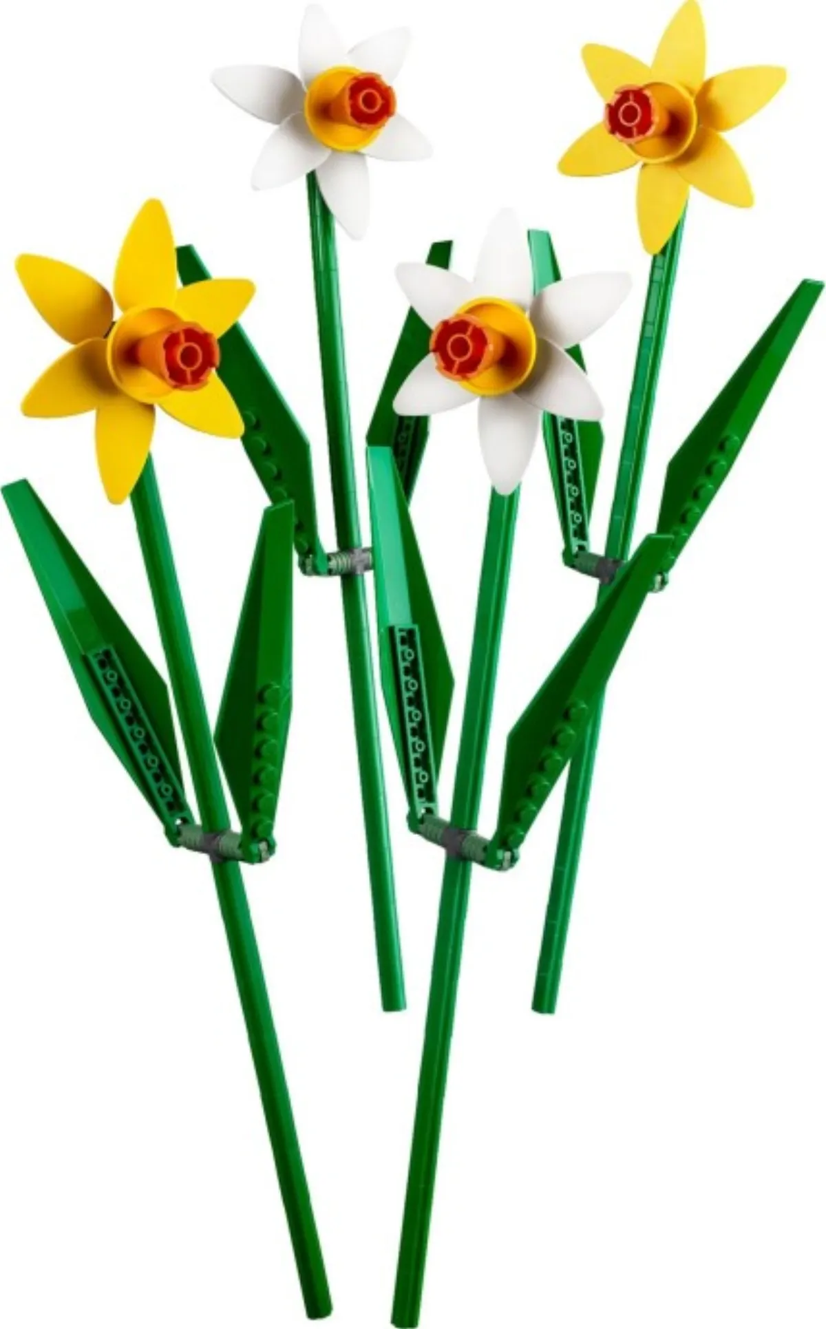 Daffodils set photo
