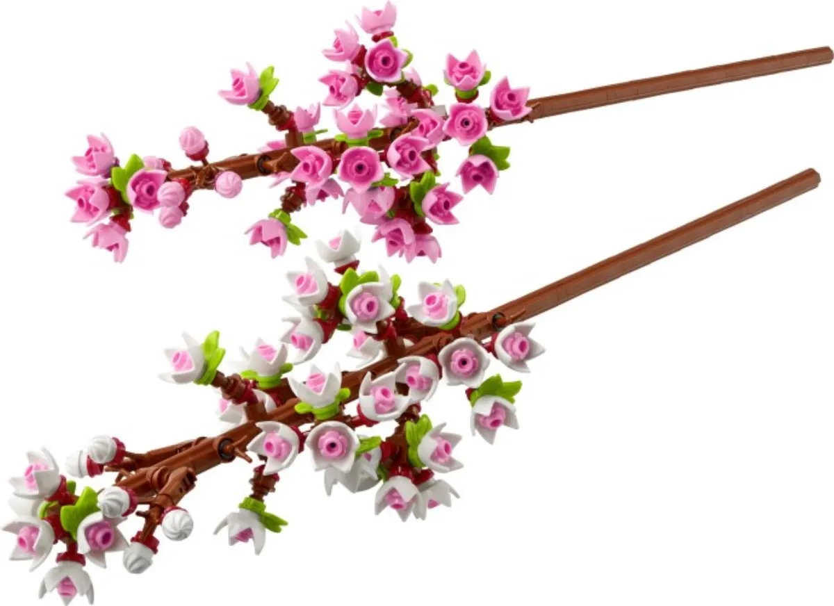 Cherry Blossoms set photo