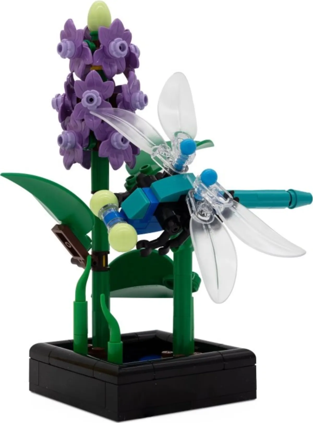 Dragonfly Garden set photo
