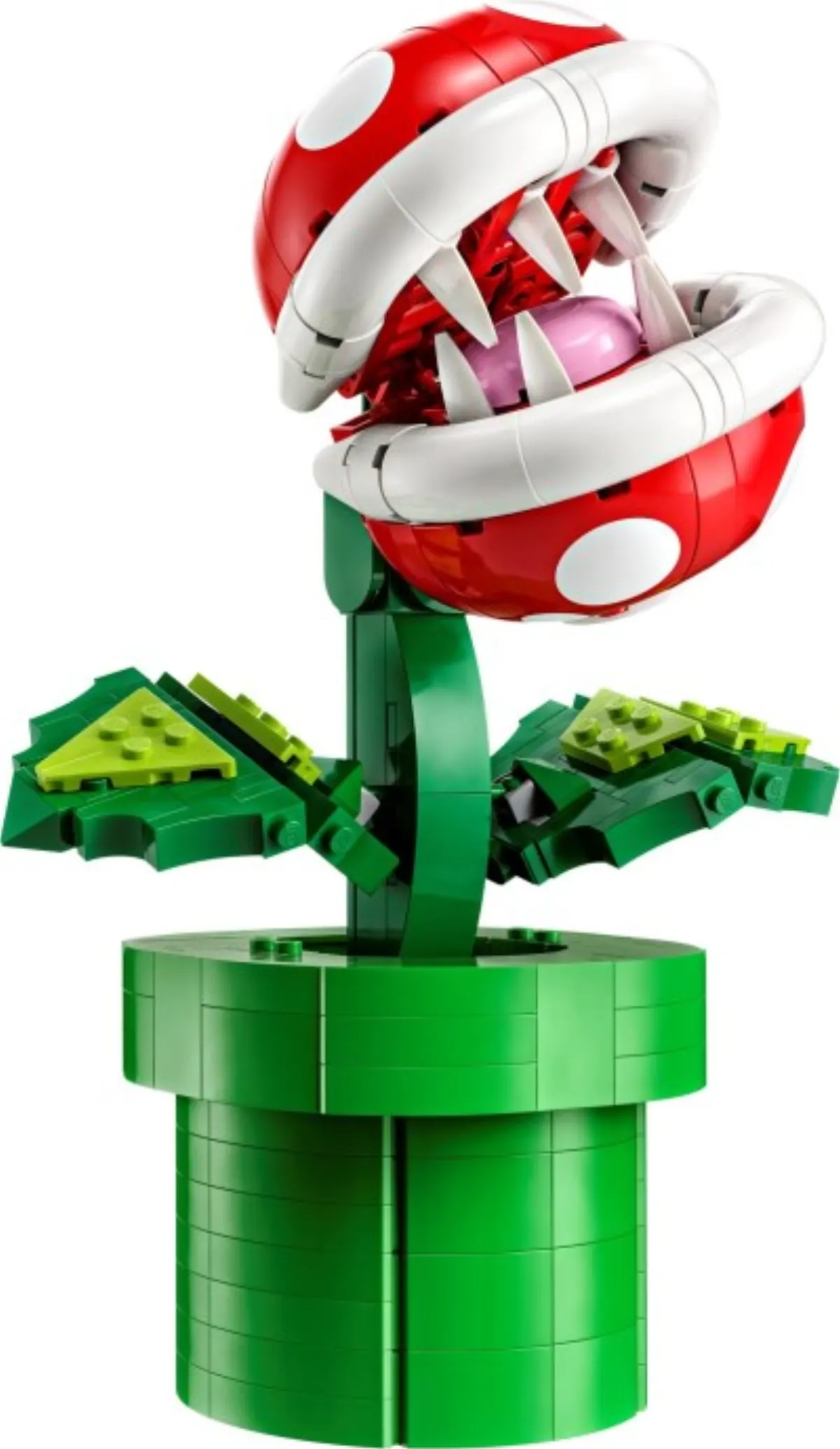 Piranha Plant set photo