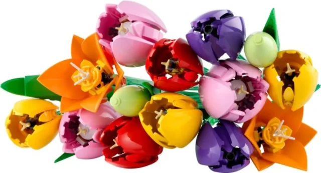 Tulip Bouquet box art