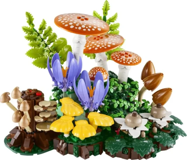 Woodland Mushrooms box art