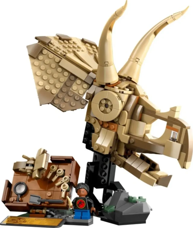 Dinosaur Fossils: Triceratops Skull box art