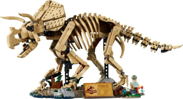 Dinosaur Fossils: Triceratops box art